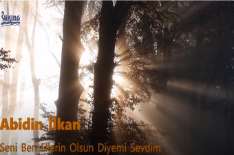 Abidin İlkan Seni Ben Ellerin Olsun Diyemi Sevdim